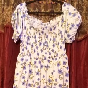 Plus size white and blue floral dress